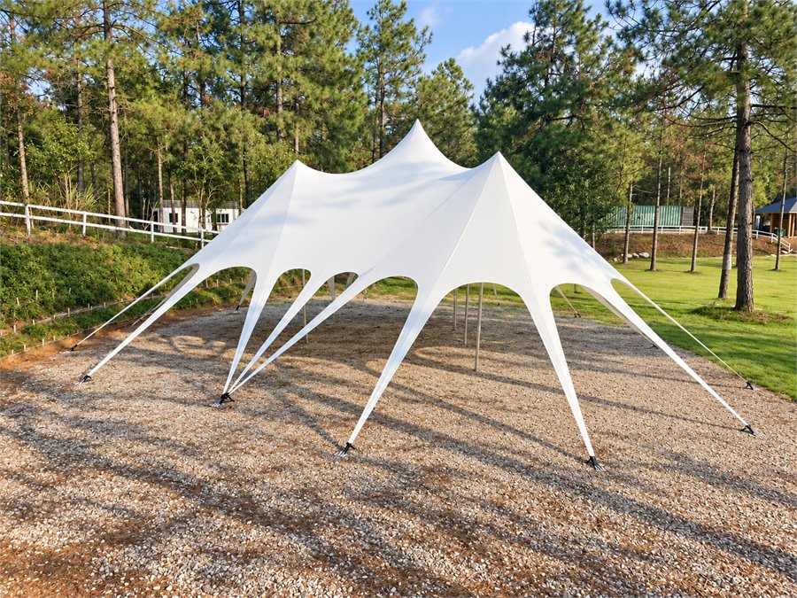 LOTUS LUXE CANOPY 莲花轻奢天幕 主图